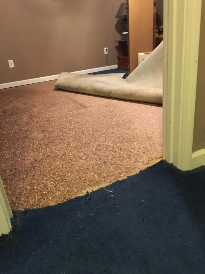 Carpet pad removal revealing water damage during Water Mitigation Services in Highland City